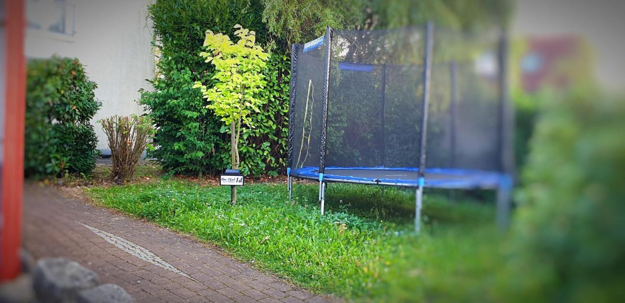 Lichtdurchflutetes Zimmer - Mainwiesen Waldbuttelbrunn المظهر الخارجي الصورة