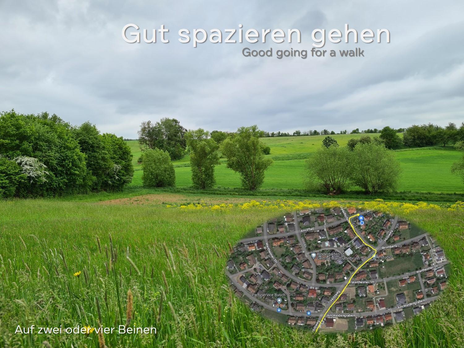 Lichtdurchflutetes Zimmer - Mainwiesen Waldbuttelbrunn المظهر الخارجي الصورة